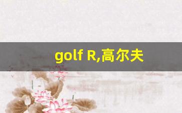 golf R,高尔夫r落地价60万